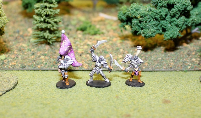 Dark Elf Infantry Command