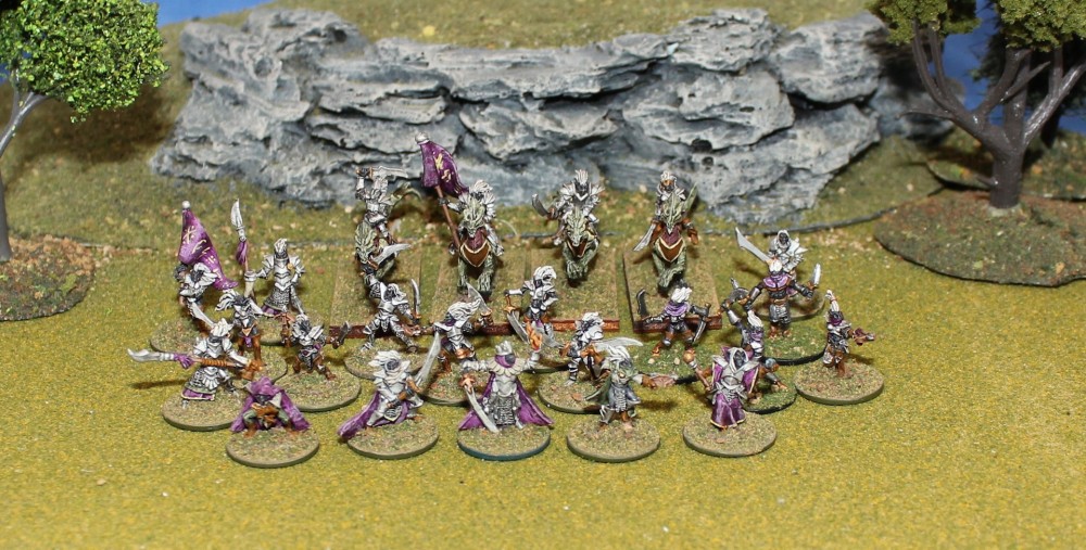 Dark Elf Warband