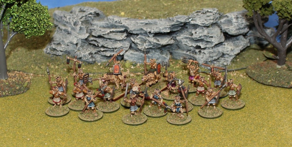 Gnoll Warband