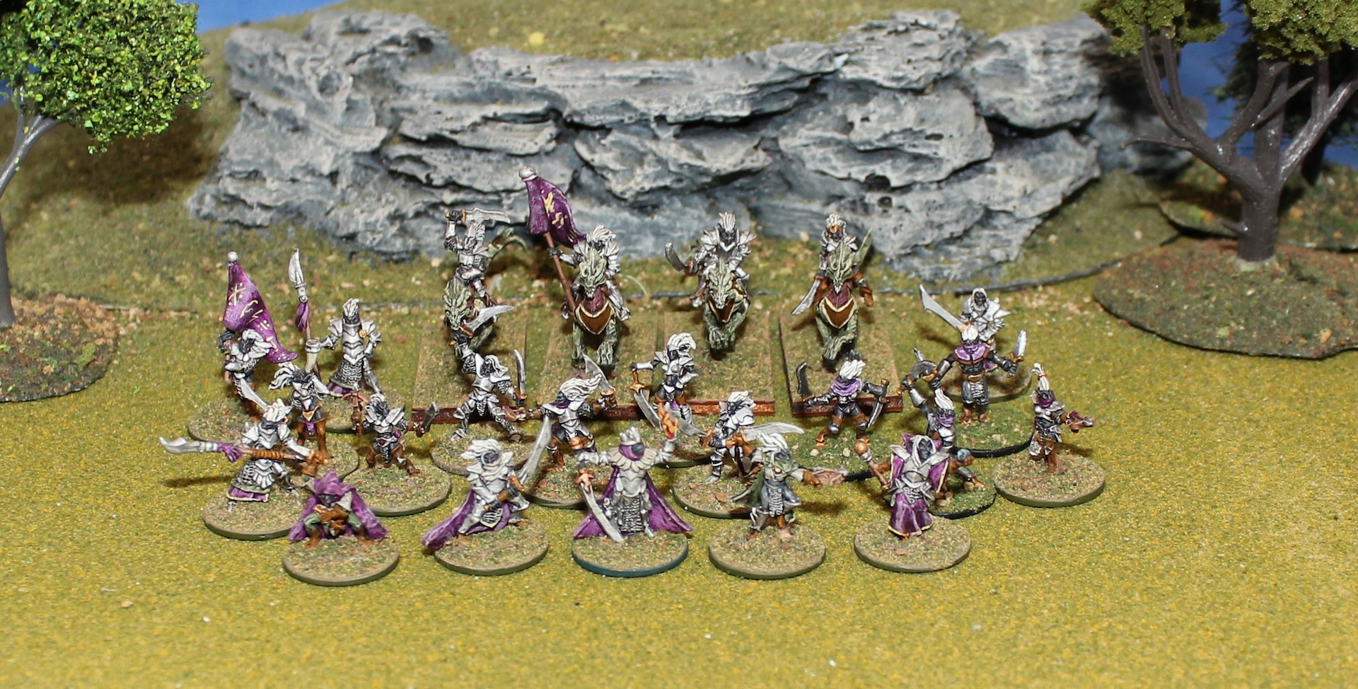 Dark Elf Warband