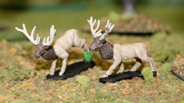 Elk