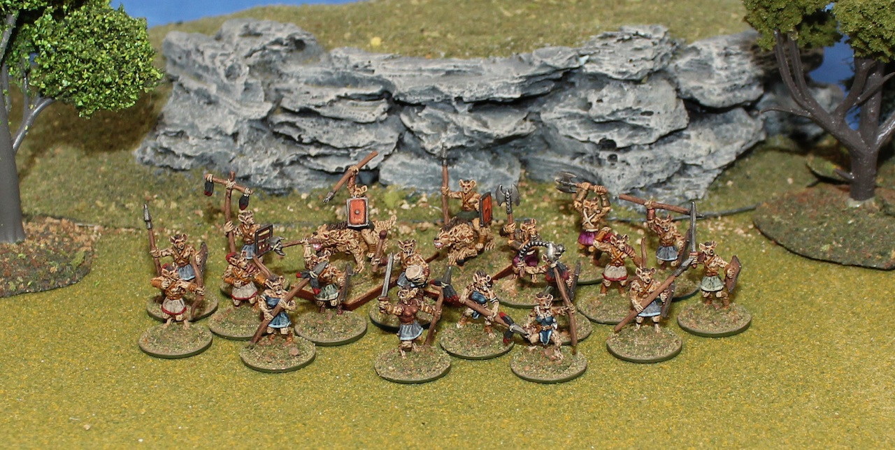 Gnoll Warband