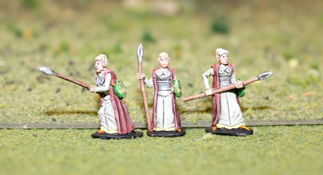 Wood Elf Maiden Guard