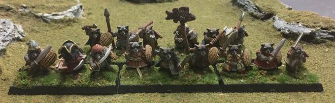 Raccoon Battalion